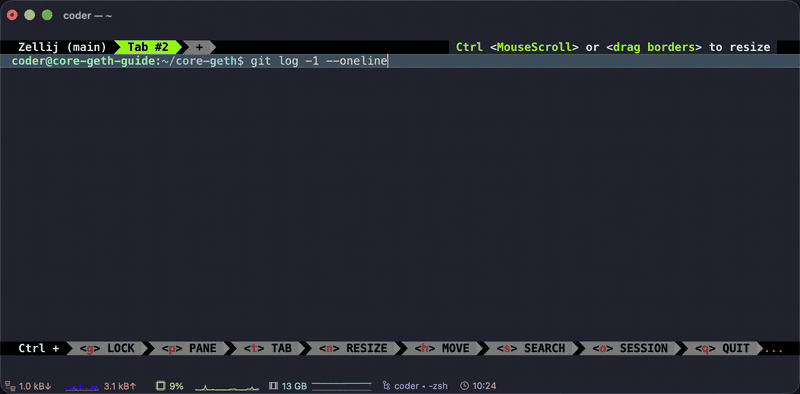 Switching versions and checking with git log
